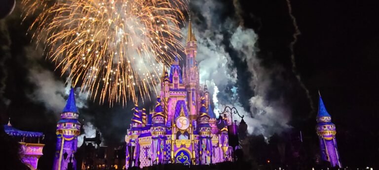 Essential Items and Safety Tips for a Memorable Visit to Walt Disney World